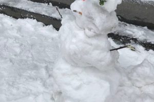 sneeuwpop met peuk
